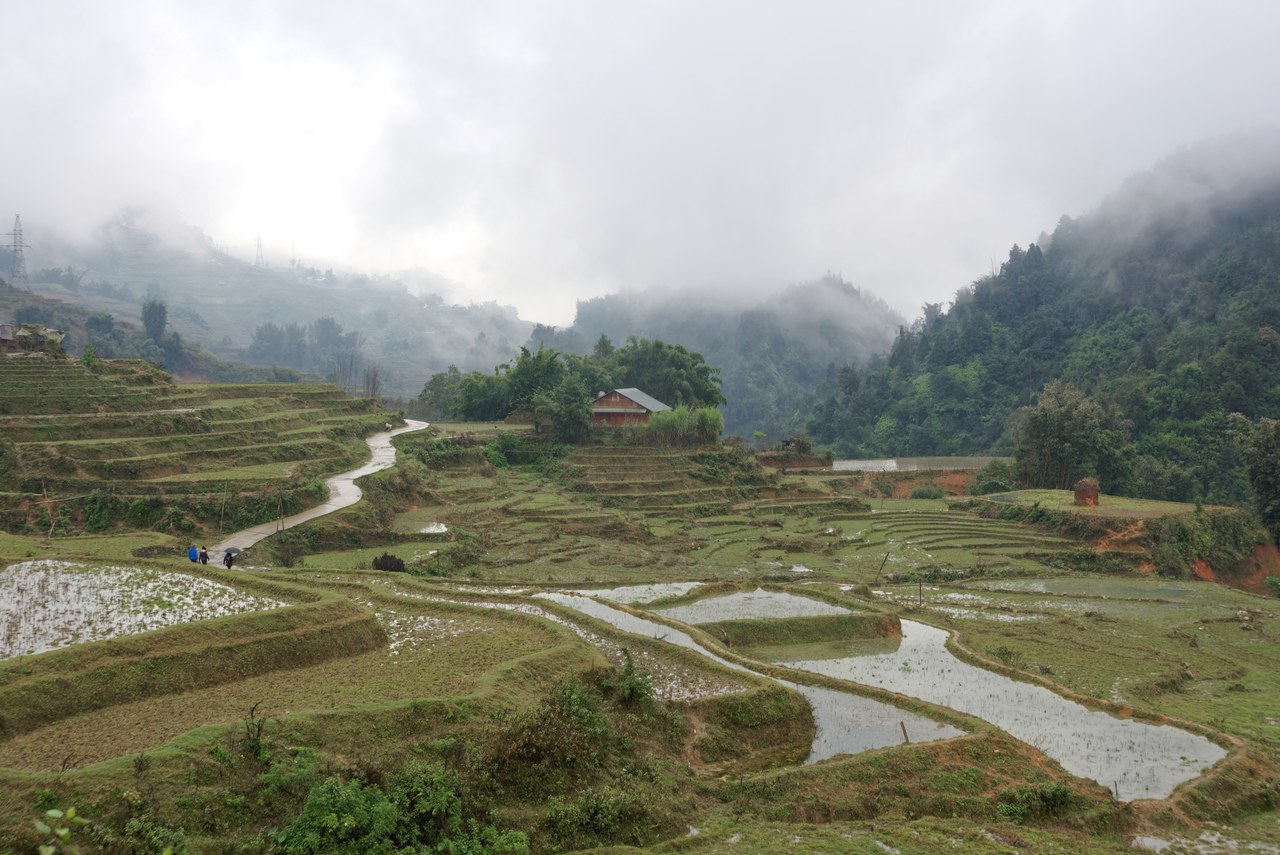 Terraced fields and a winding road near Sa Pa under winter mist, in an archival January 2024 photograph.