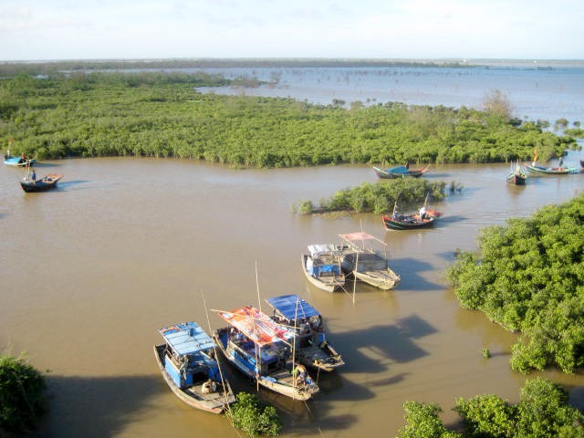 Mangrove wetlands, fishing boats and the Red River mouth landscape at Xuan Thuy National Park.