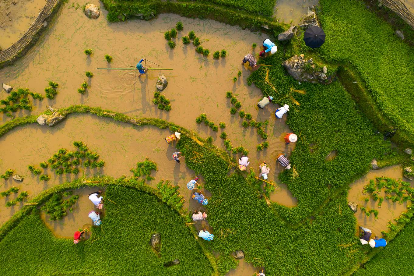 The picturesque water season in Lao Cai