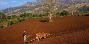 Chu Dang Ya volcano, admire the beauty of changing seasons