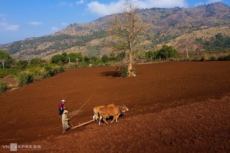 Chu Dang Ya volcano, admire the beauty of changing seasons