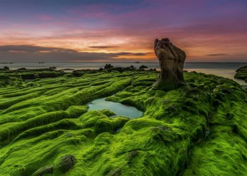 Stunned by the strange beauty of Co Thach beach in Central Vietnam