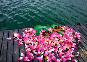 Lotus season in Hue