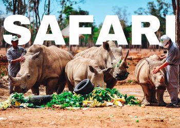 3 safari parks in Vietnam
