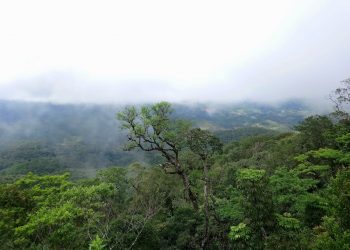 Bidoup Nui Ba National Park – Home of the God Water