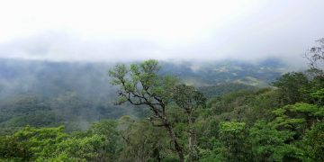 Bidoup Nui Ba National Park – Home of the God Water