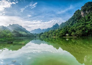 Experience ecotourism in Cuc Phuong National Park – Ninh Binh