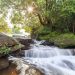 Discover Da Ban stream – a natural masterpiece on Phu Quoc pearl island