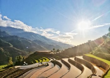 Hoang Su Phi  – The terraces sparkle in the colors of the pouring season