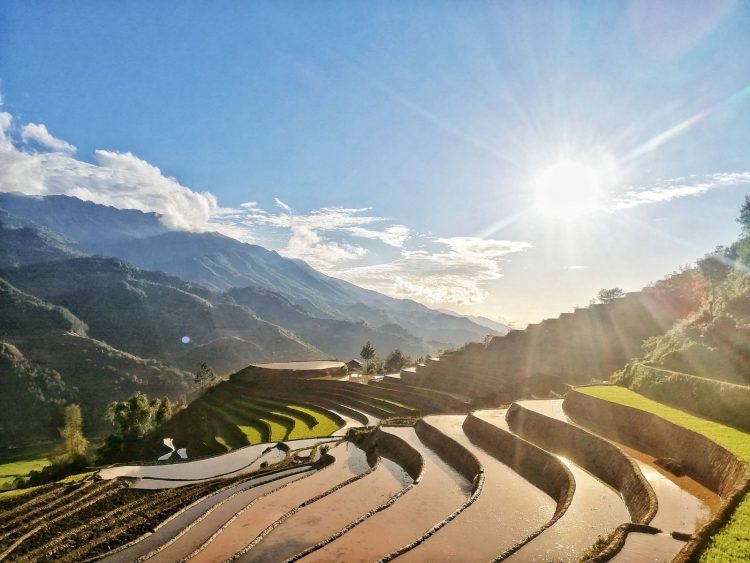 Hoang Su Phi  – The terraces sparkle in the colors of the pouring season