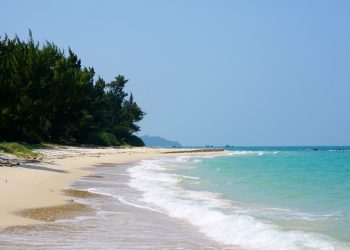 Hong Van beach in Co To – Immerse yourself in the wild beauty