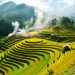 Muong Hoa Valley, Sapa with should-not-missed interesting experiences