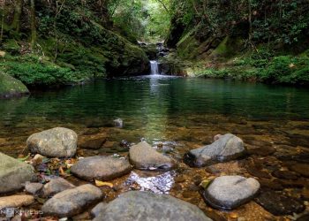 10 National Parks you should visit in Vietnam