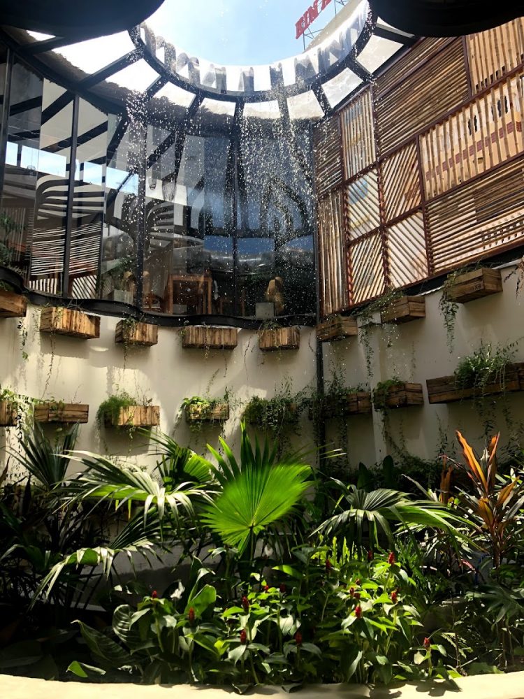 Rainforest Cafe Nha Trang – a whole cafe with a beautiful waterfall