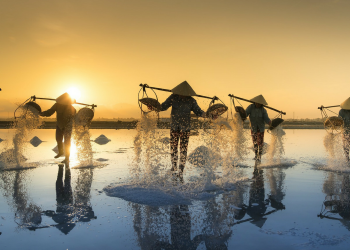 6 most beautiful salt fields in Vietnam to satisfy your photography passion