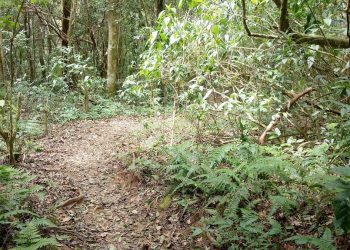 8 trekking trails in the South with famous mountains in Southern Vietnam