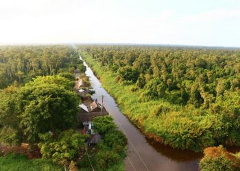 Mingle with nature in U Minh Ha National Park