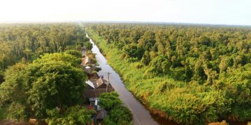 Mingle with nature in U Minh Ha National Park