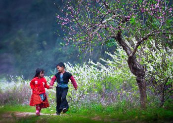 Bac Ha Plateau
