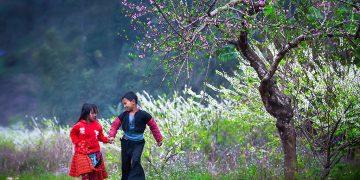 Bac Ha Plateau