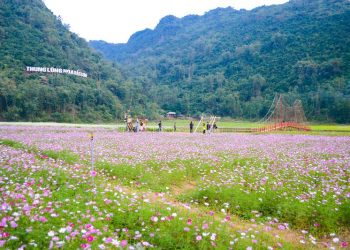 Bac Son Flower Valley
