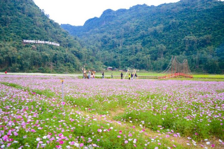 Bac Son Flower Valley