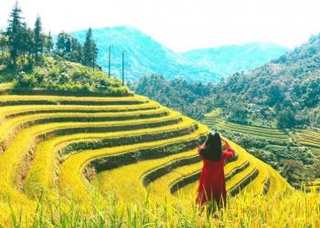 Hoang Su Phi Ha Giang