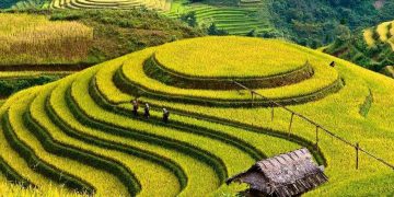 La Pan Tan Raspberry Hill