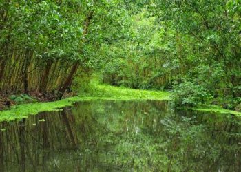 Lung Ngoc Hoang Nature Reserve