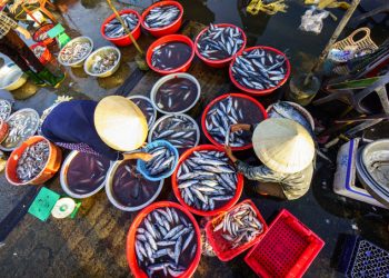 Thanh Ha Fish Market in Hoi An