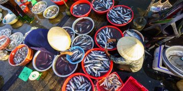 Thanh Ha Fish Market in Hoi An