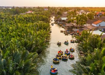 Bay Mau Coconut Forest