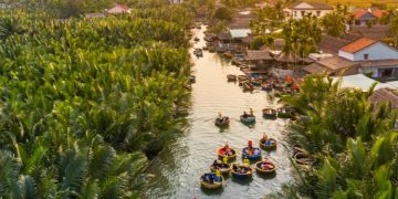 Bay Mau Coconut Forest