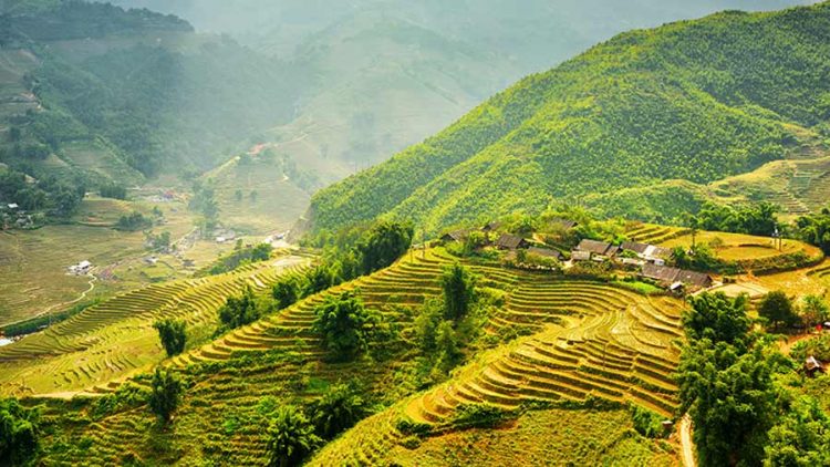 Lao Cai Travel