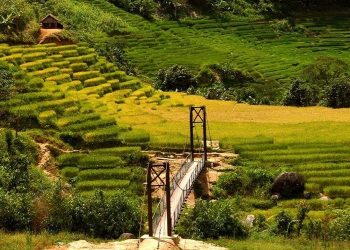 mang ri terraced fields