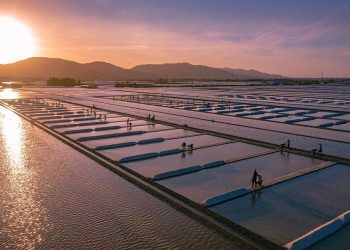 Long Dien Salt Field