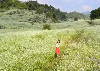 Thung Cuong Village in Moc Chau
