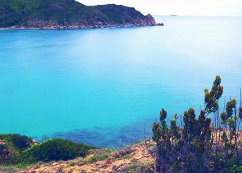 Bai Nom Beach in Phu Yen