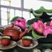 Vietnamese Lotus Tea