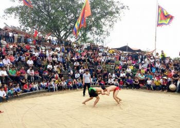 Vietnamese Wrestling