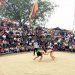 Vietnamese Wrestling