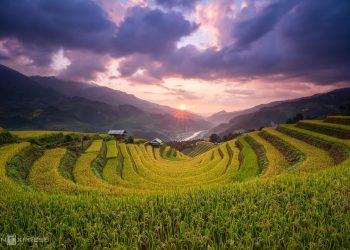 Mu Cang Chai Travel Guide