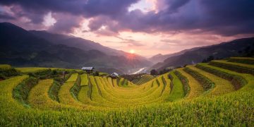 Mu Cang Chai Travel Guide