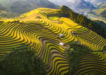Tu Le Travel Guide
