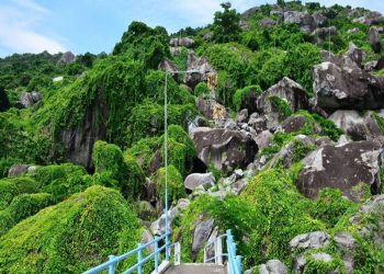 Discover the Timeless Beauty of Tuc Dup Hill in March