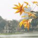 Hanoi Fall Tours