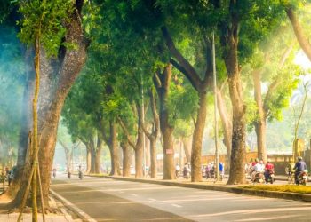 Discover the unique streets of Hanoi and What They Have to Offer