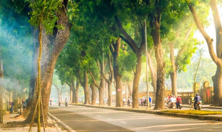 Discover the unique streets of Hanoi and What They Have to Offer