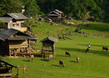 48 Hours in Moc Chau