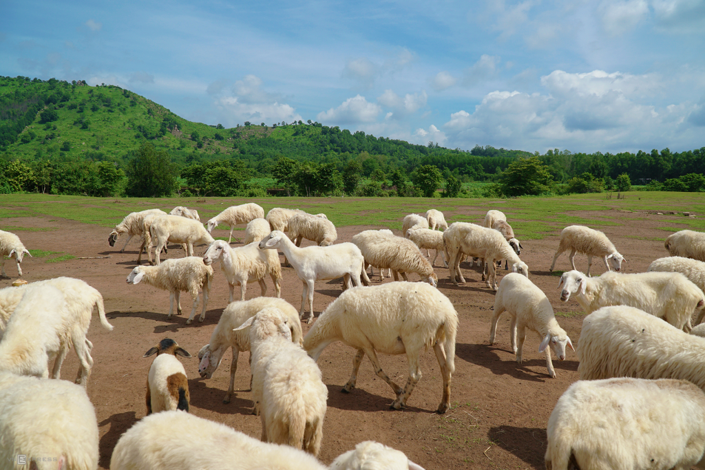 Ba Ria - Vung Tau Travel